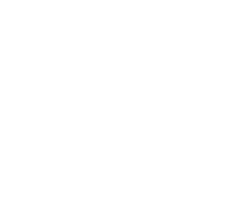 DLM Logo